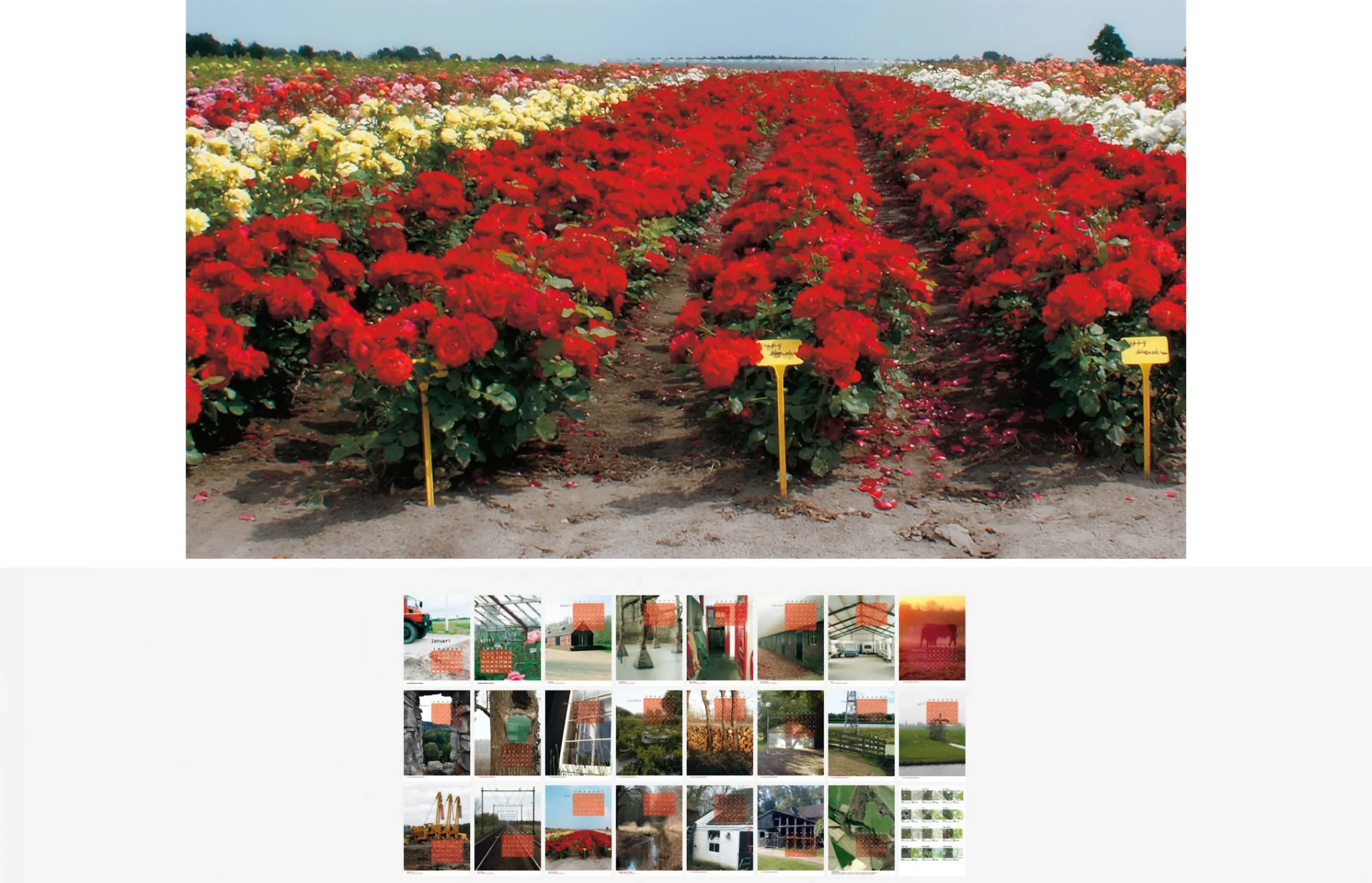 VLNN_kalender_2008_2